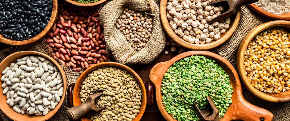 Nutritious Pulses